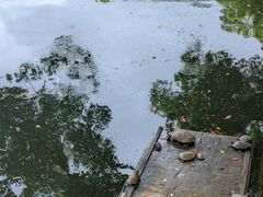 -阿育王寺
