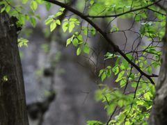 -黑龙潭风景区