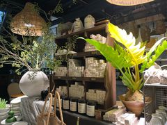 -自由生长植物工作室(深港花卉中心店)