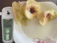 -老袁家蜜桃农场·阳山水蜜桃