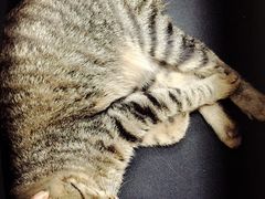 -P2·创客中心(东海广场店)