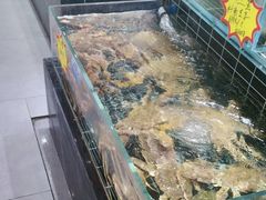 -宏运厨房·海鲜青岛菜·生日宴(城市阳台店)