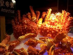 -广州花园酒店-凌璇阁360度高空海鲜自助餐CAROUSEL