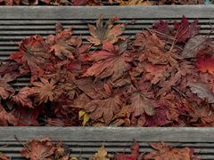 -丹东天桥沟景区