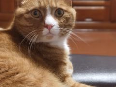 -七鲜超市(通州ONE店)