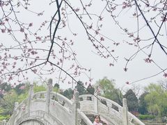 -南阳卧龙岗武侯祠