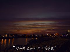 -荷兰花海