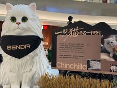 -宝龙城(杭州滨江店)