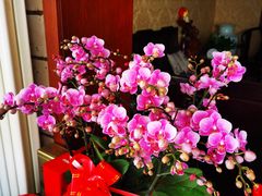 -三旗百汇商品城