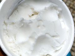 椰子雪糕-洪馨椰子