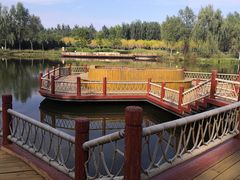 -东郊湿地公园