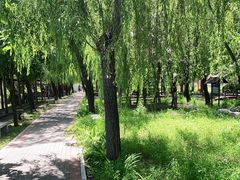 -河北村民俗体验园