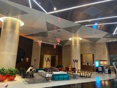 -南京禄口机场雅高铂尔曼大酒店