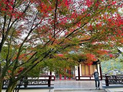 -穹窿山景区