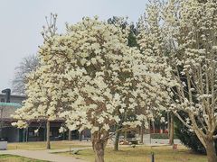 -国家图书馆·古籍馆