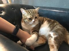 -咖法森林·咖啡  酒吧(天河店)