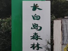 -长白岛森林公园