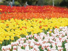 -长沙园林生态园