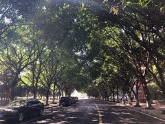 -西南政法大学(沙坪坝校区)