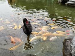 -扬州瘦西湖温泉