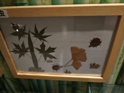 -文旺阁亲子手工DIY木作博物馆