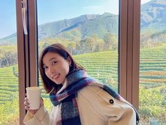 -白茶原·一片叶子