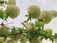 -堤角公园