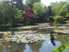 -北海道厅旧本厅舍(旧本庁舎)