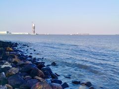 -上海吴淞炮台湾国家湿地公园