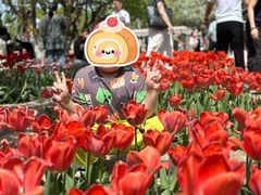 -石家庄市植物园