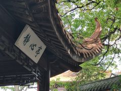 -赭山公园