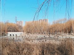 -东坝千亩湖公园