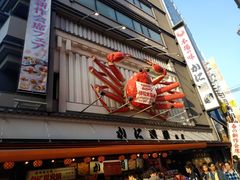 -蟹道乐(道顿堀本店)