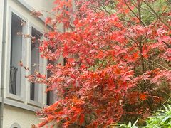 -徐家汇源景区-衡山坊