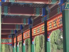-近春园遗址