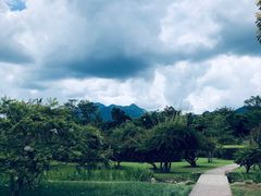 -中国科学院西双版纳热带植物园