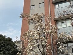 -南京晨光1865创意产业园