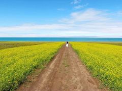 -青海湖国家重点风景名胜区