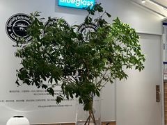 -Blueglass酸奶(华贸购物中心店)