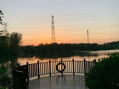 -昆山城市生态森林公园