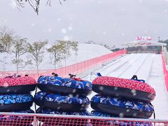 -盈香心动乐园