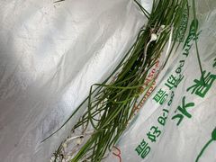 -钟山体育运动公园
