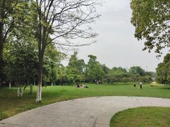 -艾溪湖湿地公园