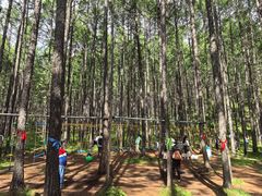 -莫尔道嘎国家森林公园