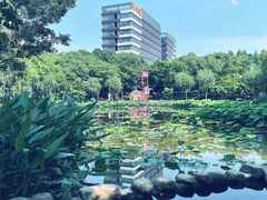 -陈家山荷花公园