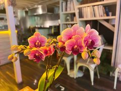 -北平花园·MUA摩造汉堡·北平咖啡(南锣鼓巷胡同店)