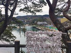 -松岛