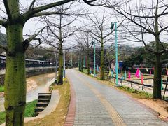 -红山村