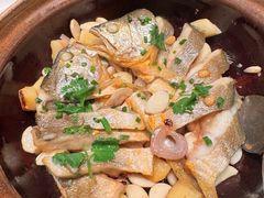 -新雅粤菜馆(南京东路店)