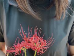 -白塘生态植物园